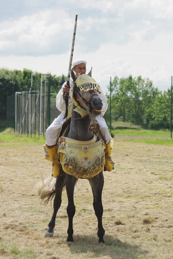 Le Moussem des Cultures 2008 189.jpg